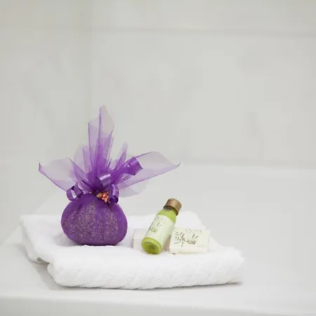 Hotel Priska Heritage 4*
